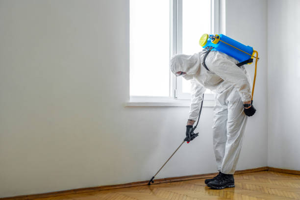 Best Termite Control Services  in Hudsonville, MI