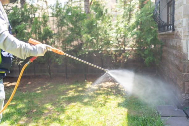 Best Pest Control Near Me  in Hudsonville, MI