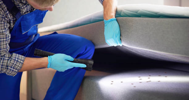 Best Commercial Pest Control Services  in Hudsonville, MI