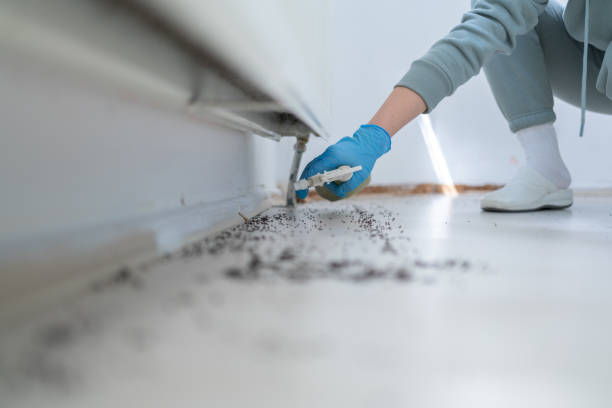 Best Cockroach Control Services  in Hudsonville, MI