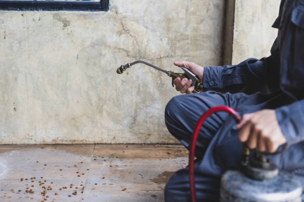 Pest Prevention Services in Hudsonville, MI
